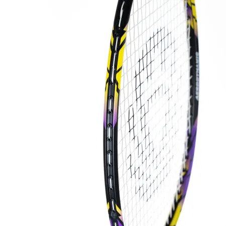 Ракетка бадм. TORRES Carbon PRO6, BD20521,для продв., стерж/обод из карбона,со струнами, фиол за 4&nbsp;477.80 ₽ купить в Волжском